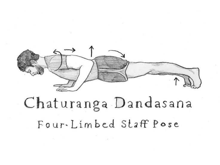Breaking Down the Poses – Chaturanga Dandasana