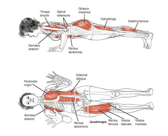 How To Do Chaturanga Dandasana — ChriskaYoga